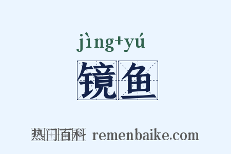 镜鱼是什么意思的图片